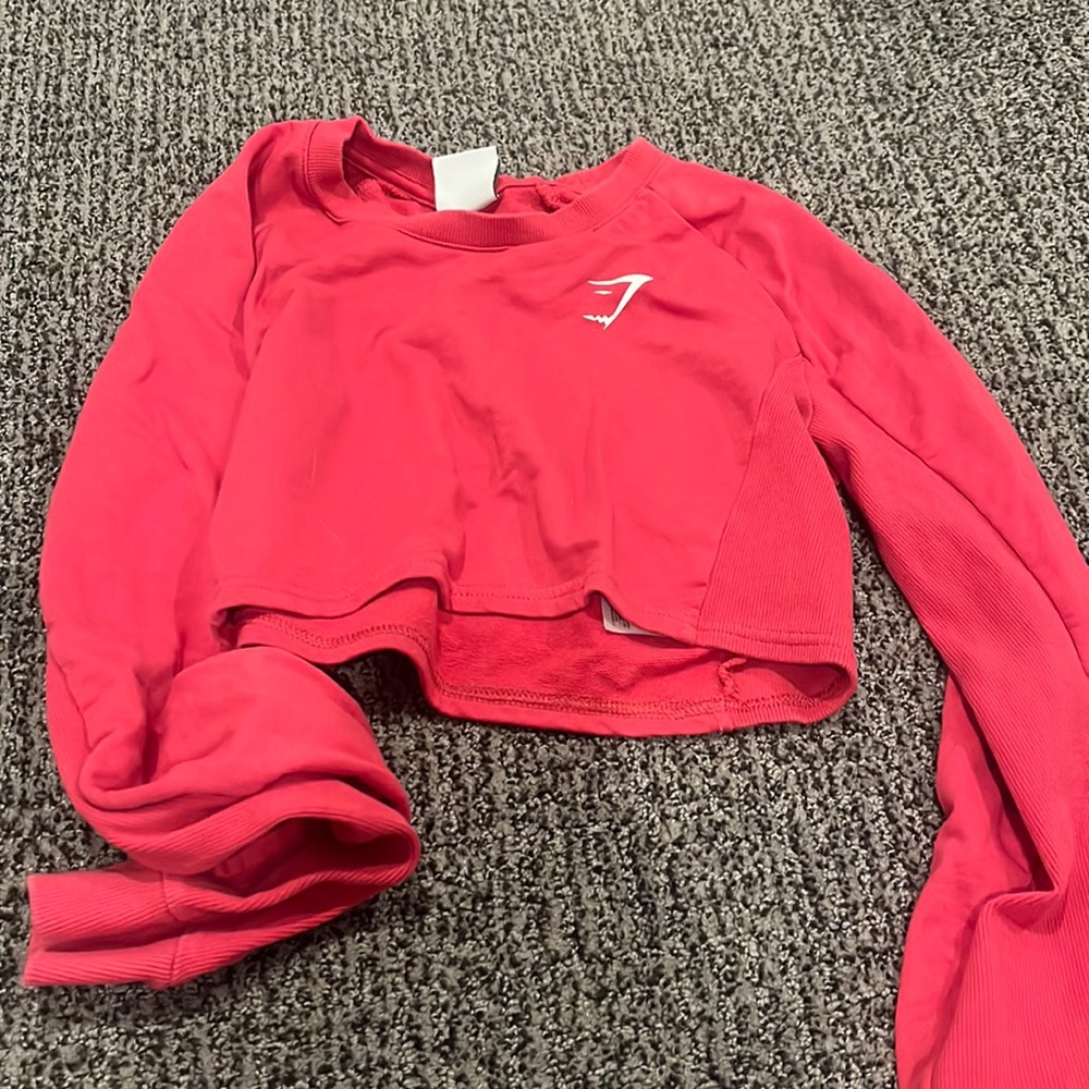 Gym shark cropped sweater